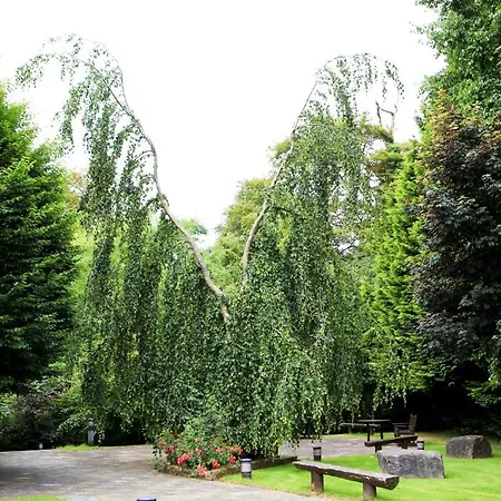 מלון Westport - Leisure And Conference קאסלבר